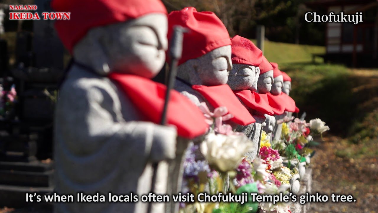 🏯 이케다 성터 공원(이케다시로아토코엔) 이미지 12